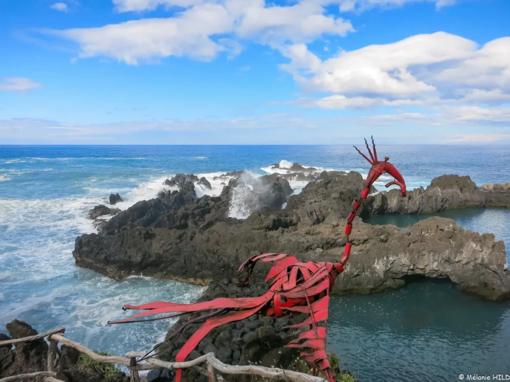 Découvrez des escapades à Madère