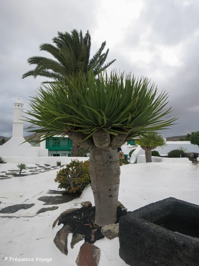 Partez à la découverte des oeuvres de César Manrique sur l'île de Lanzarote - lagomar