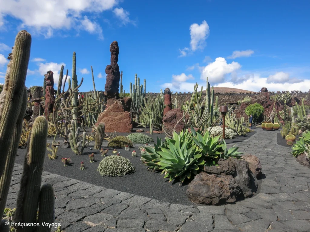 Partez à la découverte des oeuvres de César Manrique sur l'île de Lanzarote - jardin des cactus