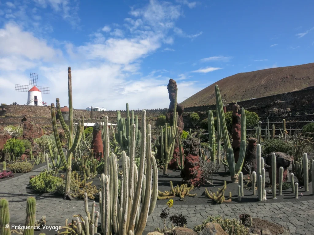 Partez à la découverte des oeuvres de César Manrique sur l'île de Lanzarote - Jardin des cactus